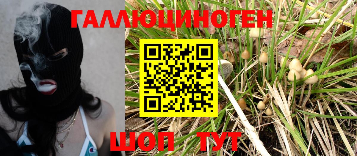 Галлюциногенные грибы мухоморы  Вход с VPN  Знаменск 