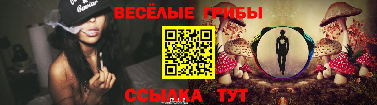 Мефедрон кристаллы  Меф МЯУ МЯУ  ГАШИШ  LSD-25  Вход с VPN  Знаменск  Экстази  Конопля 